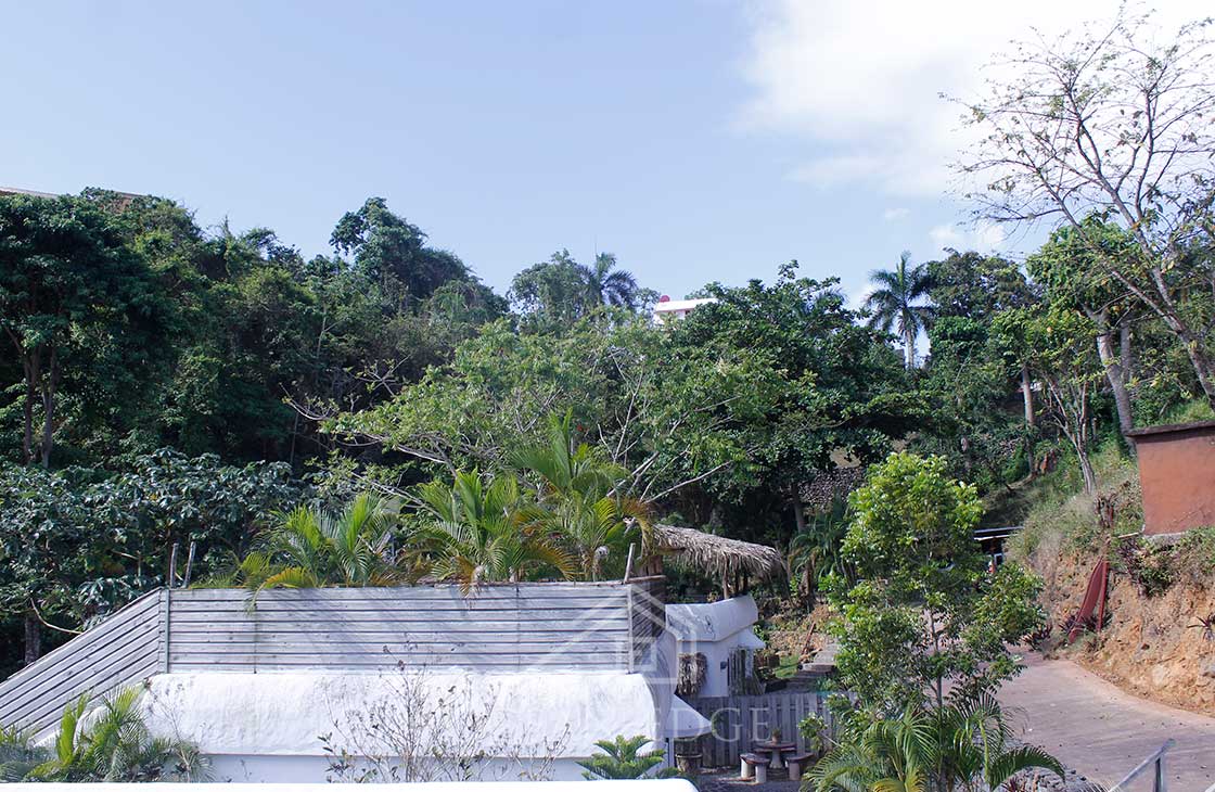 Las-Terrenas-Real-Estate-Ocean-Edge-Dominican-Republic - Authentic caribbean house in green community (17)