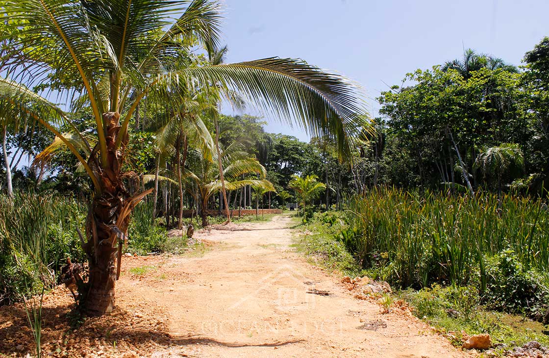 Las-Terrenas-Real-Estate-Ocean-Edge-Dominican-Republic- individual lots in community near beach and to (1