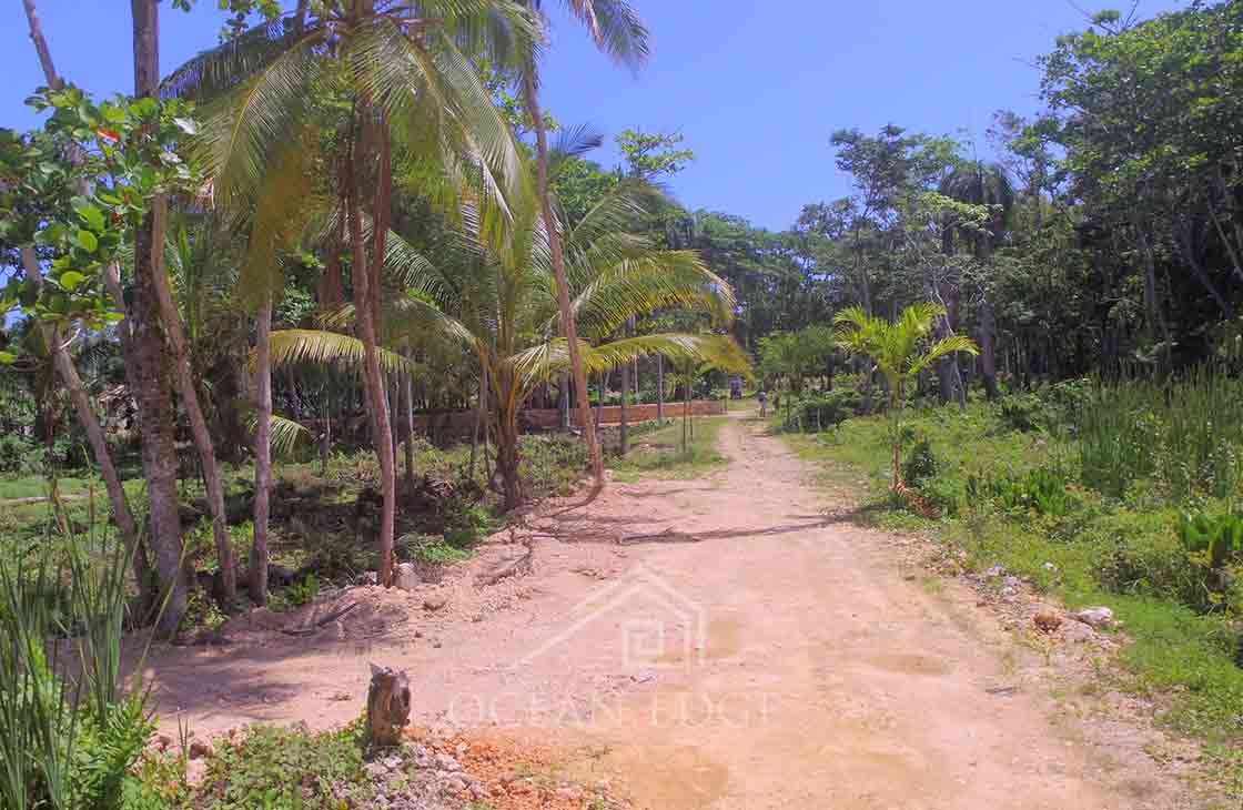 Las-Terrenas-Real-Estate-Ocean-Edge-Dominican-Republic- individual lots in community near beach and to (1 (12)