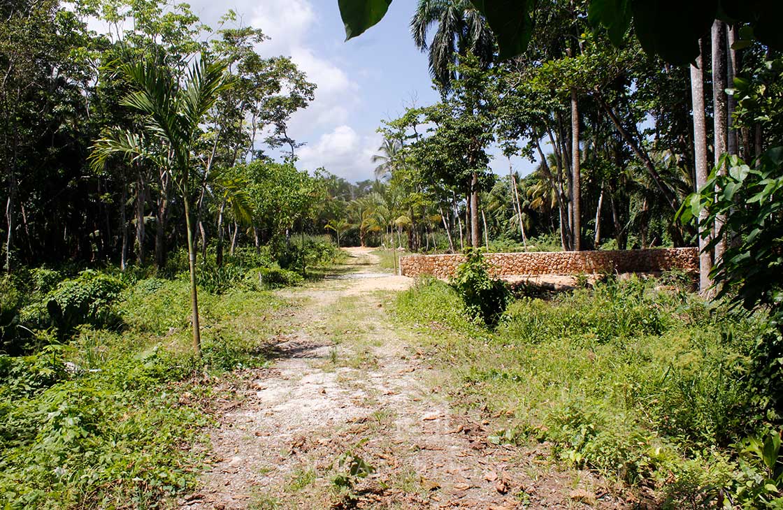 Las-Terrenas-Real-Estate-Ocean-Edge-Dominican-Republic- individual lots in community near beach and to (1 (19)