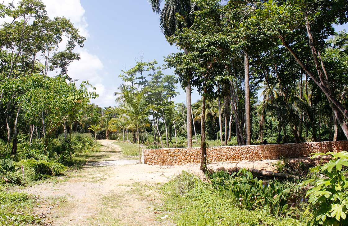 Las-Terrenas-Real-Estate-Ocean-Edge-Dominican-Republic- individual lots in community near beach and to (1 (20)