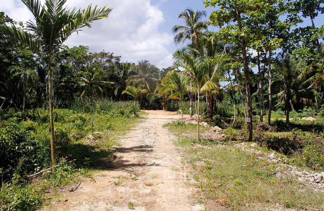 Las-Terrenas-Real-Estate-Ocean-Edge-Dominican-Republic- individual lots in community near beach and to (1 (23)