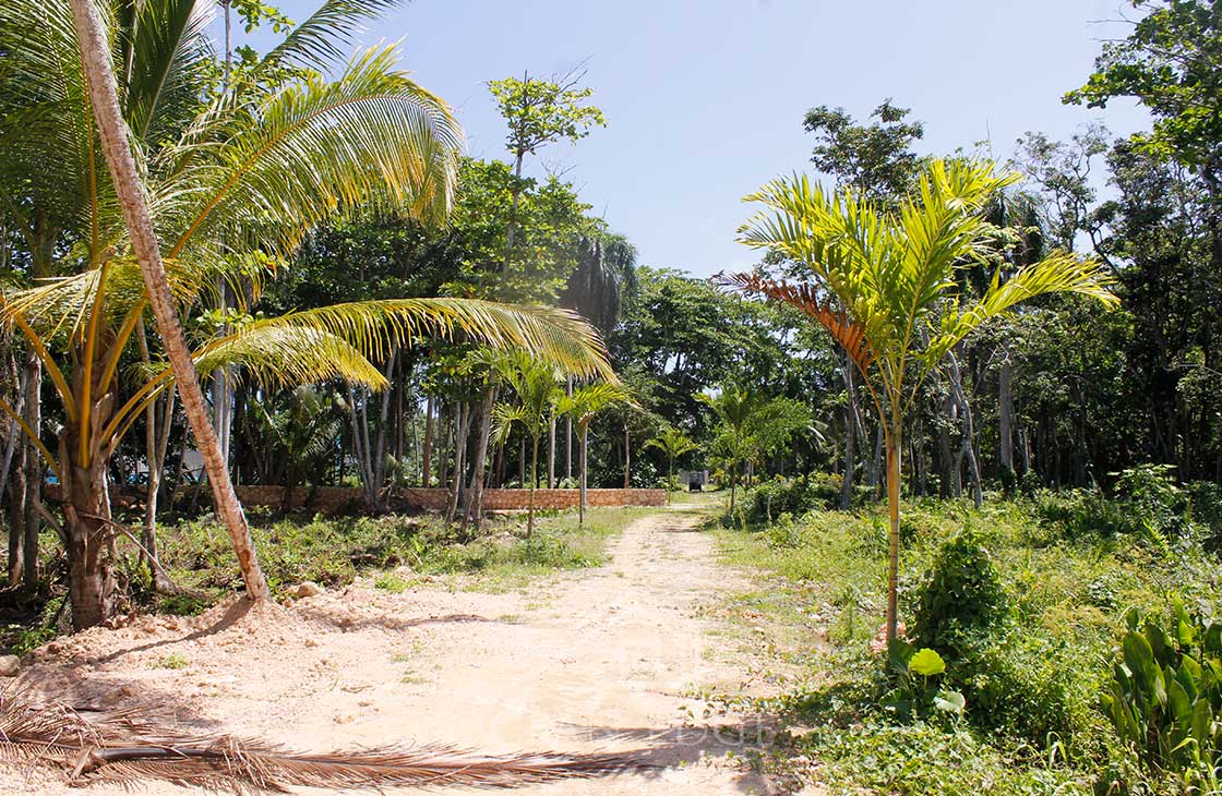 Las-Terrenas-Real-Estate-Ocean-Edge-Dominican-Republic- individual lots in community near beach and to (1 (24)