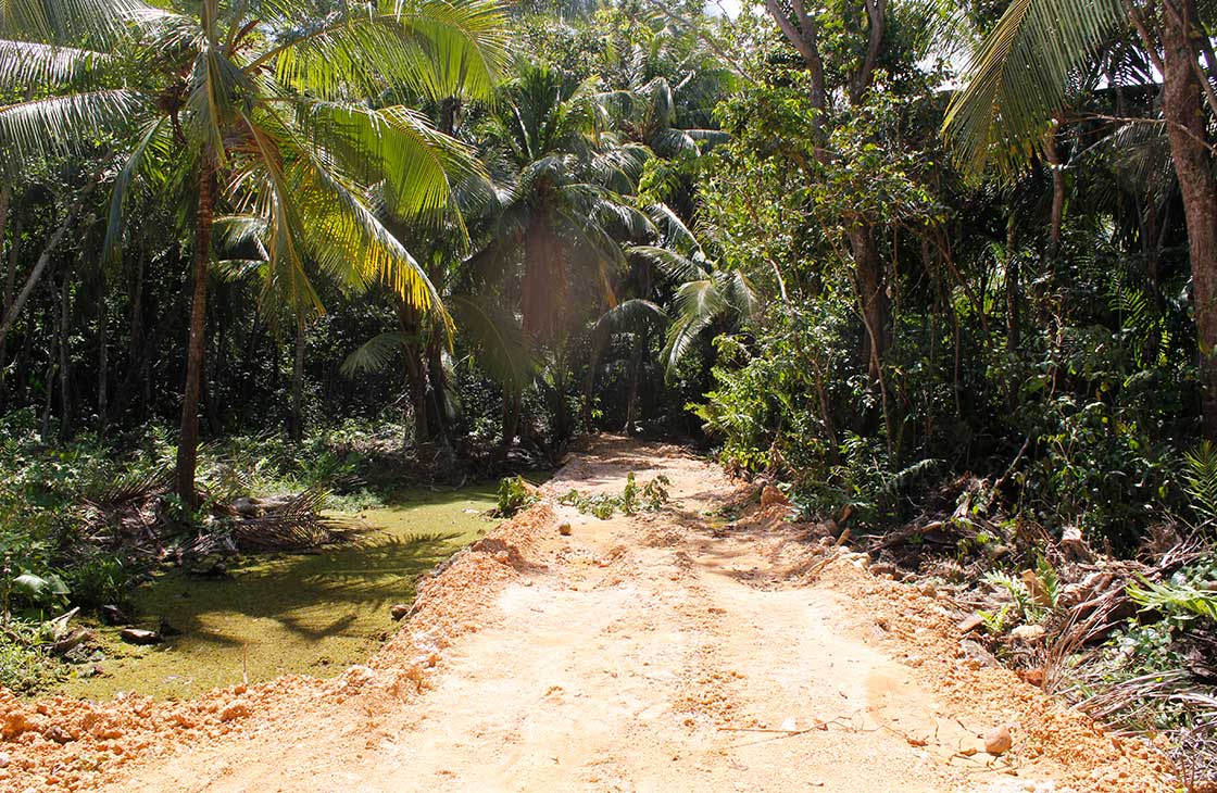 Las-Terrenas-Real-Estate-Ocean-Edge-Dominican-Republic- individual lots in community near beach and to (1 (25)