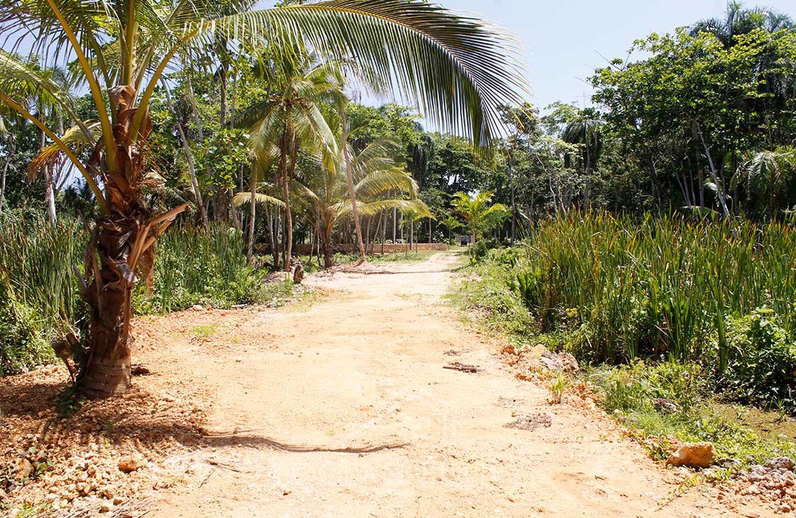 Las-Terrenas-Real-Estate-Ocean-Edge-Dominican-Republic- individual lots in community near beach and to (1)