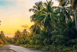 las terrenas real estate ocean edge