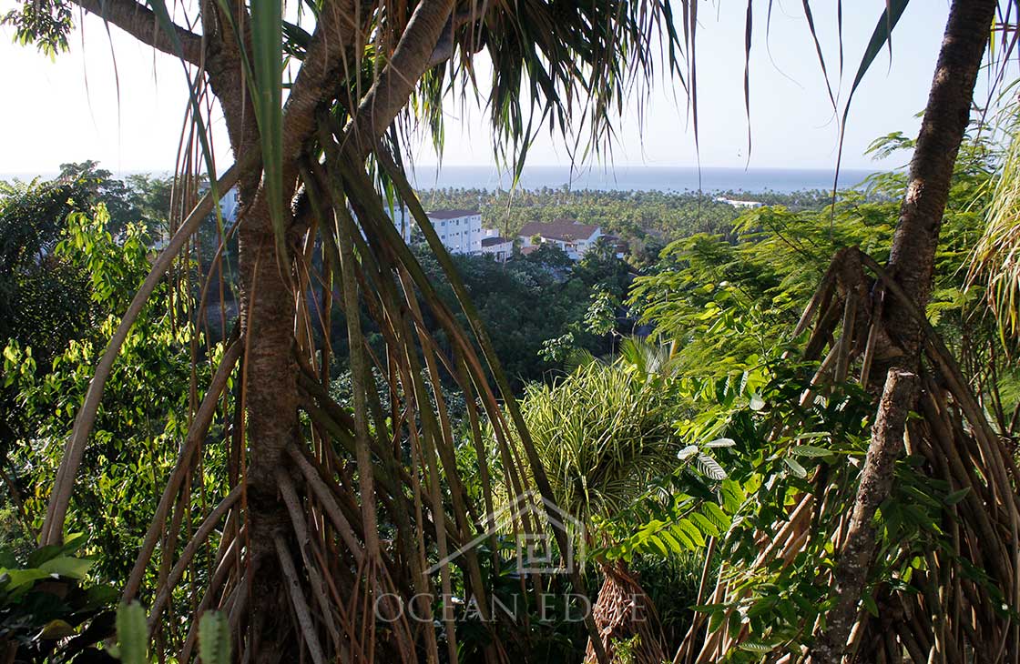 B&B house with panoramic views - Las-terrenas-real-estate-dominican-republic (22)