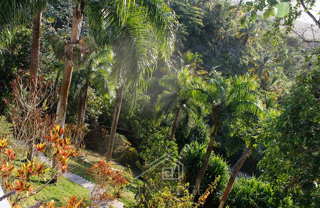 B&B house with panoramic views - Las-terrenas-real-estate-dominican-republic (36)