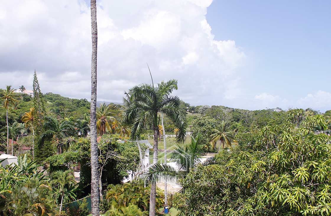 Comfortable 2-bed condo with independent rooftop terrace -Las Terrenas Real Estate - Dominican Republic - Ocean Edge (26)