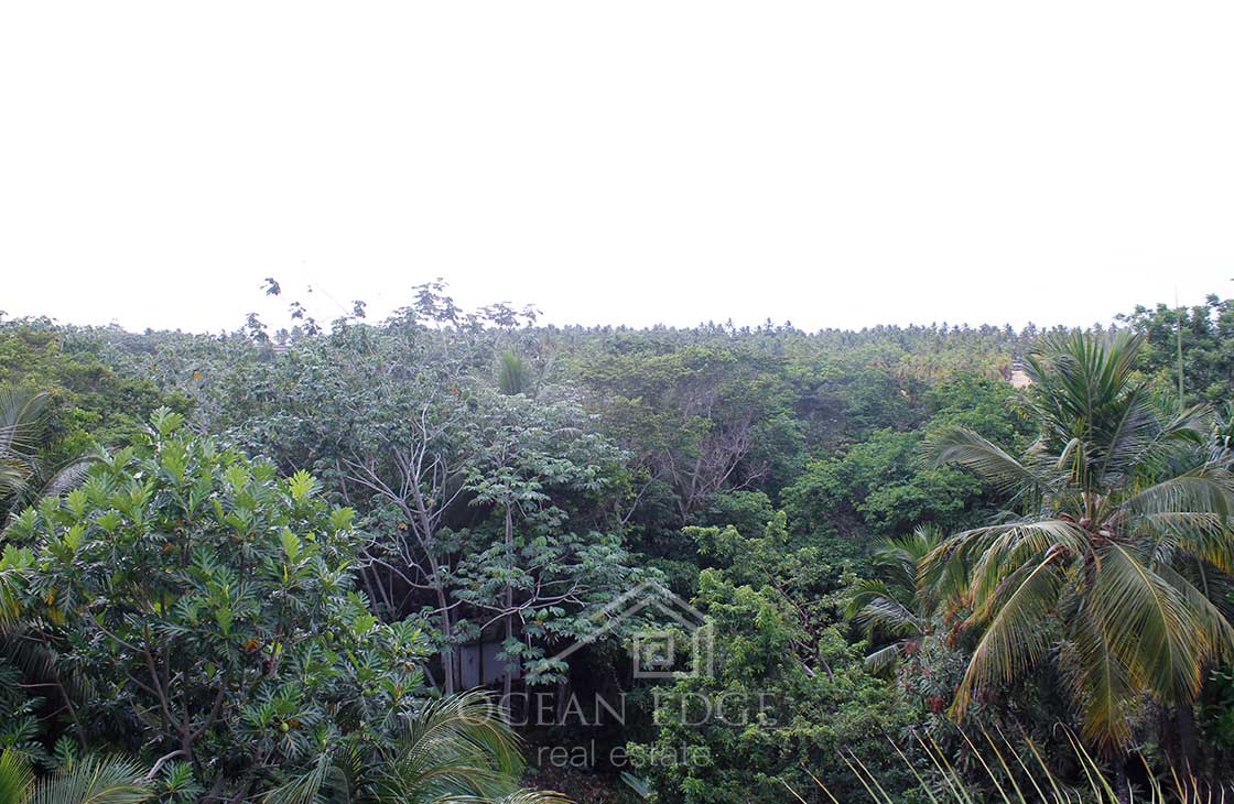 Exclusive ocean view condo with jacuzzi - las terrenas - real estate - dominican republic (20)