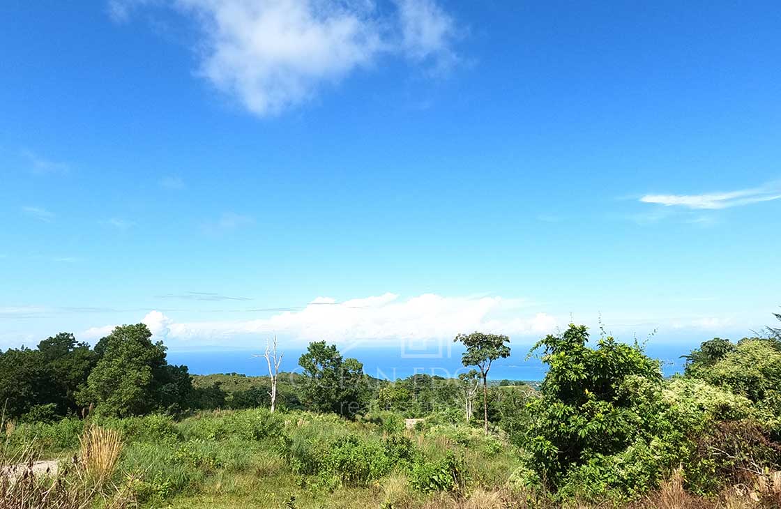 Individual-Ocean-view-lots-overlooking-Las-Terrenas-ocean-edge-real-estate