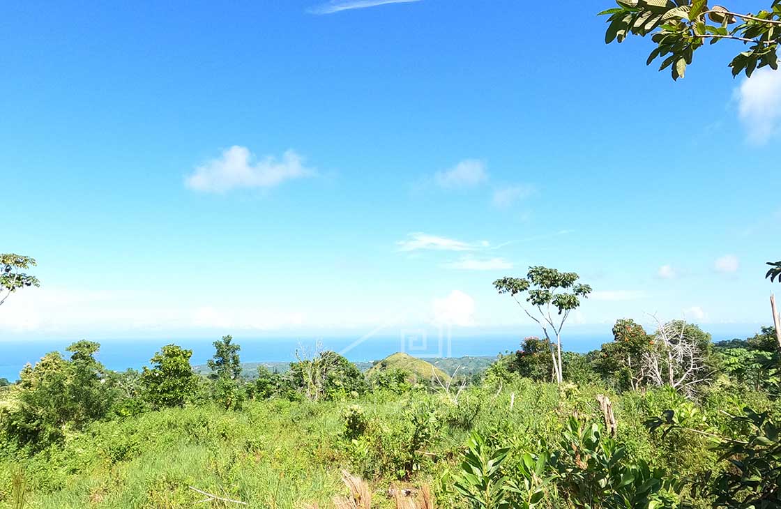 Individual-Ocean-view-lots-overlooking-Las-Terrenas-ocean-edge-real-estate