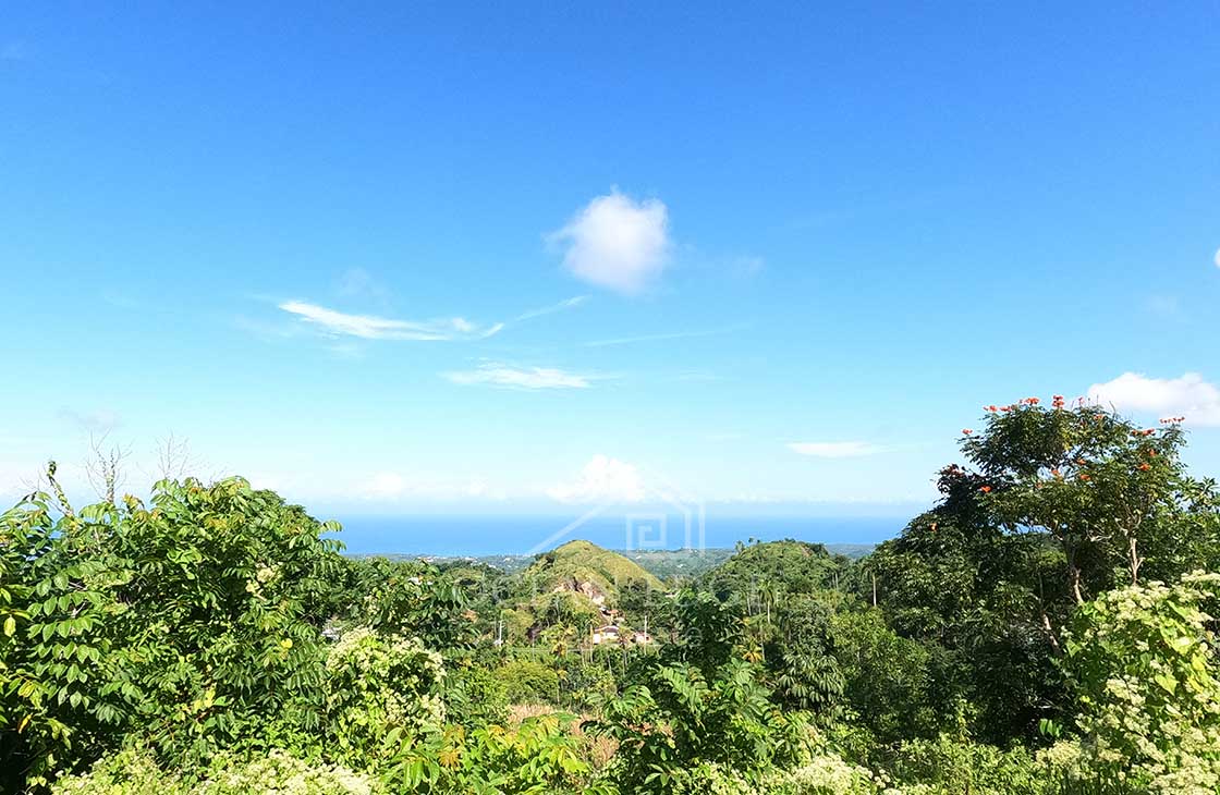 Individual-Ocean-view-lots-overlooking-Las-Terrenas-ocean-edge-real-estate