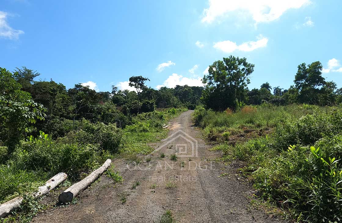 Individual-Ocean-view-lots-overlooking-Las-Terrenas-ocean-edge-real-estate