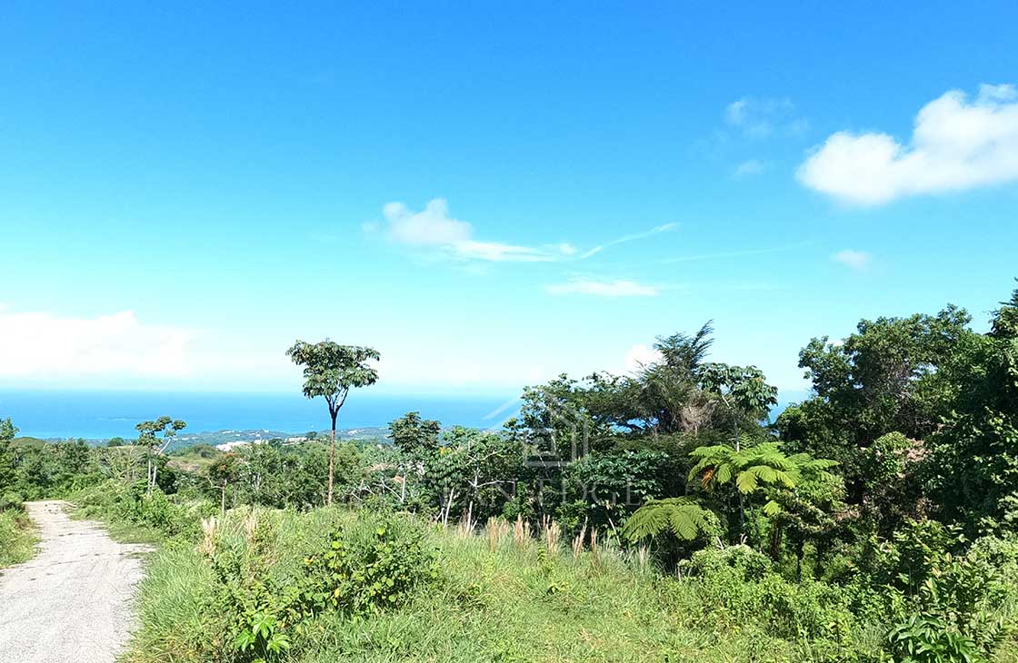 Individual-Ocean-view-lots-overlooking-Las-Terrenas-ocean-edge-real-estate