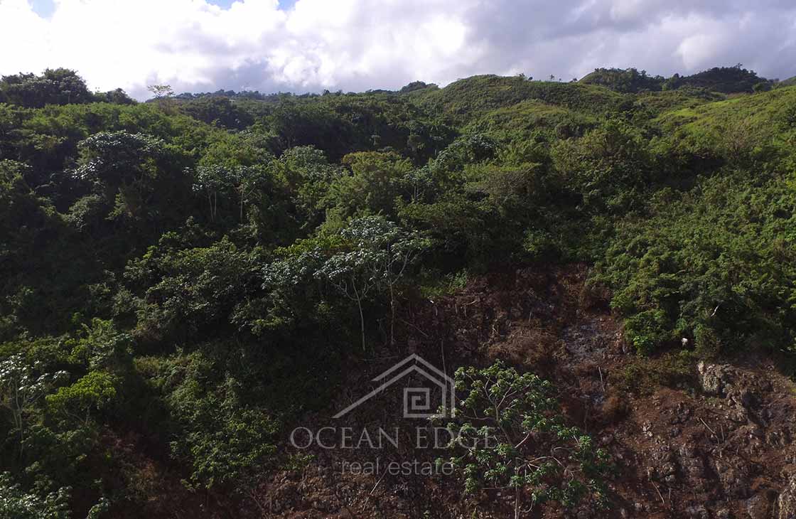 Ocean view development land in Hoyo Cacao-las-terrenas-ocean-edge-real-estate-drone (7)