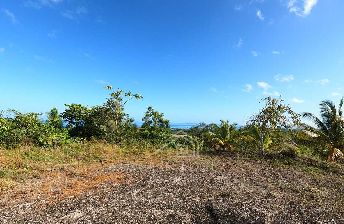 Eco-Lodge-Development-Land-in-Coson-Beach-las-terrenas-ocean-edge-web