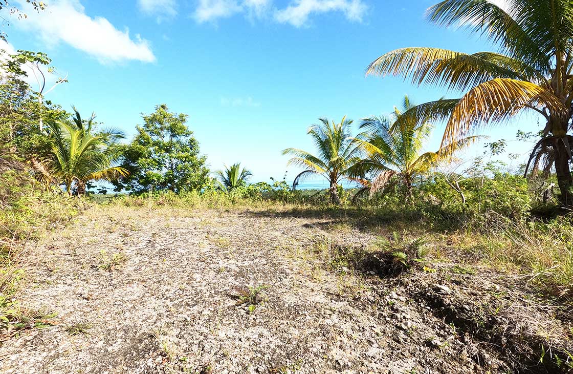 Eco-Lodge-Development-Land-in-Coson-Beach-las-terrenas-ocean-edge-web