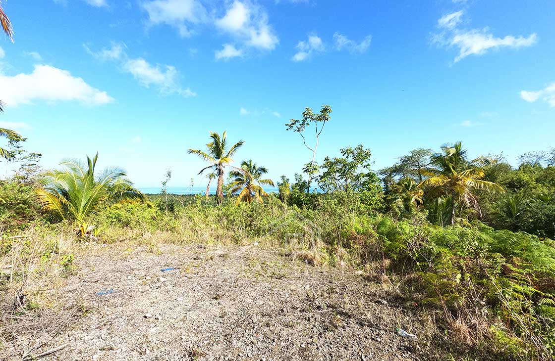 Eco-Lodge-Development-Land-in-Coson-Beach-las-terrenas-ocean-edge-web