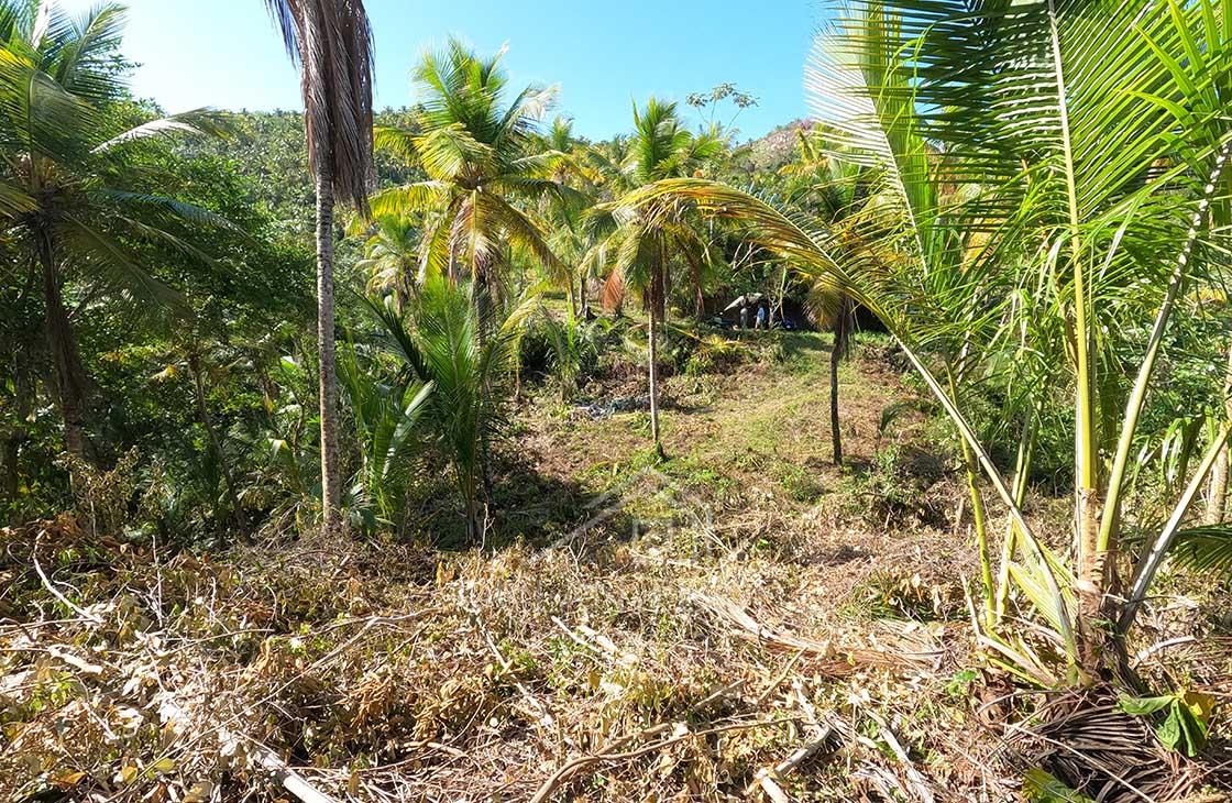 Eco-Lodge-Development-Land-in-Coson-Beach-las-terrenas-ocean-edge-web