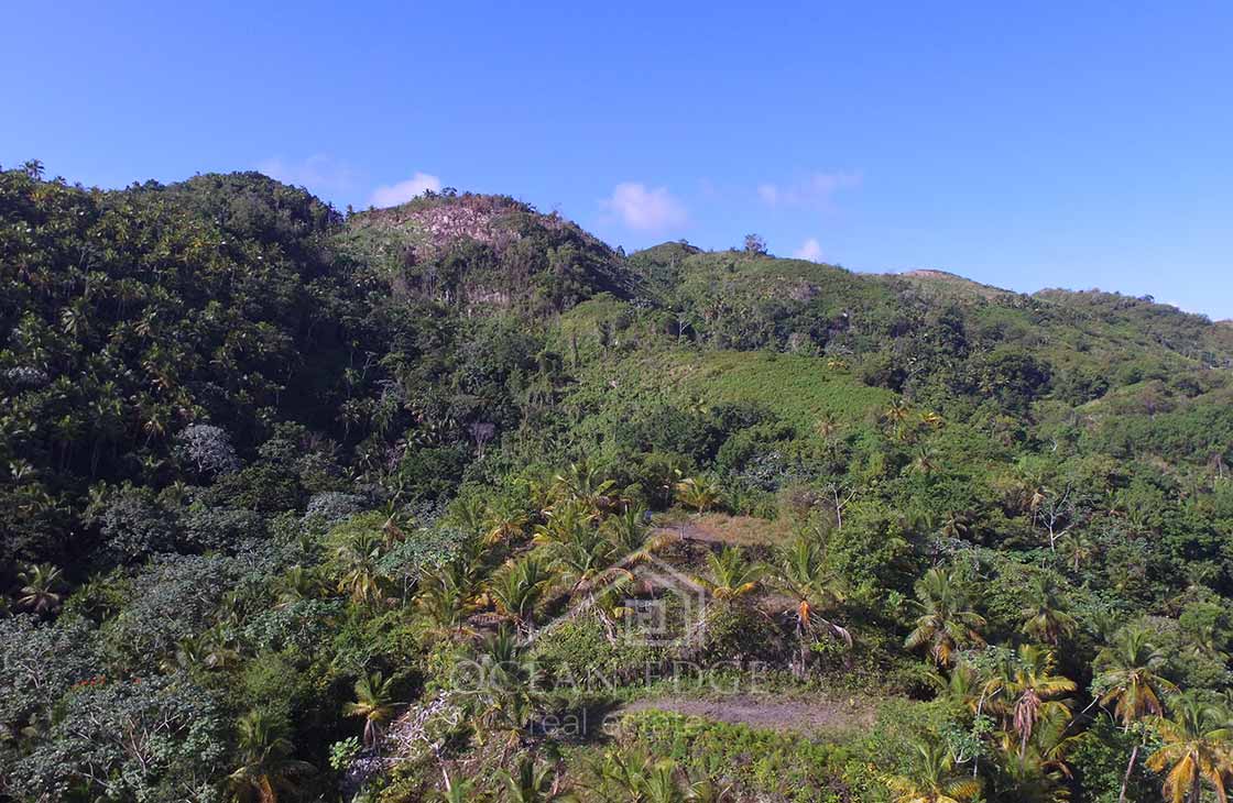 Eco Lodge Development Land in Cosón Beach-las-terrenas-real-estate-ocean-edge (23)