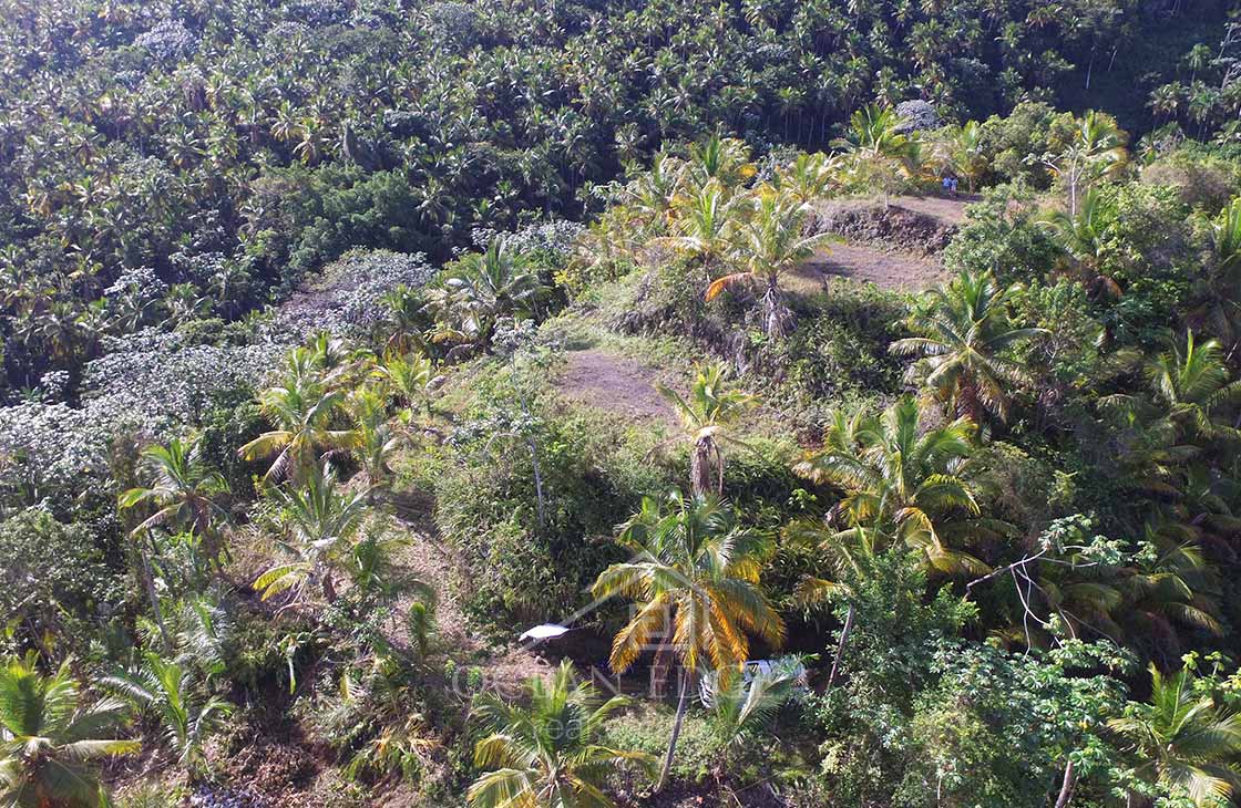 Eco Lodge Development Land in Cosón Beach-las-terrenas-real-estate-ocean-edge (32)