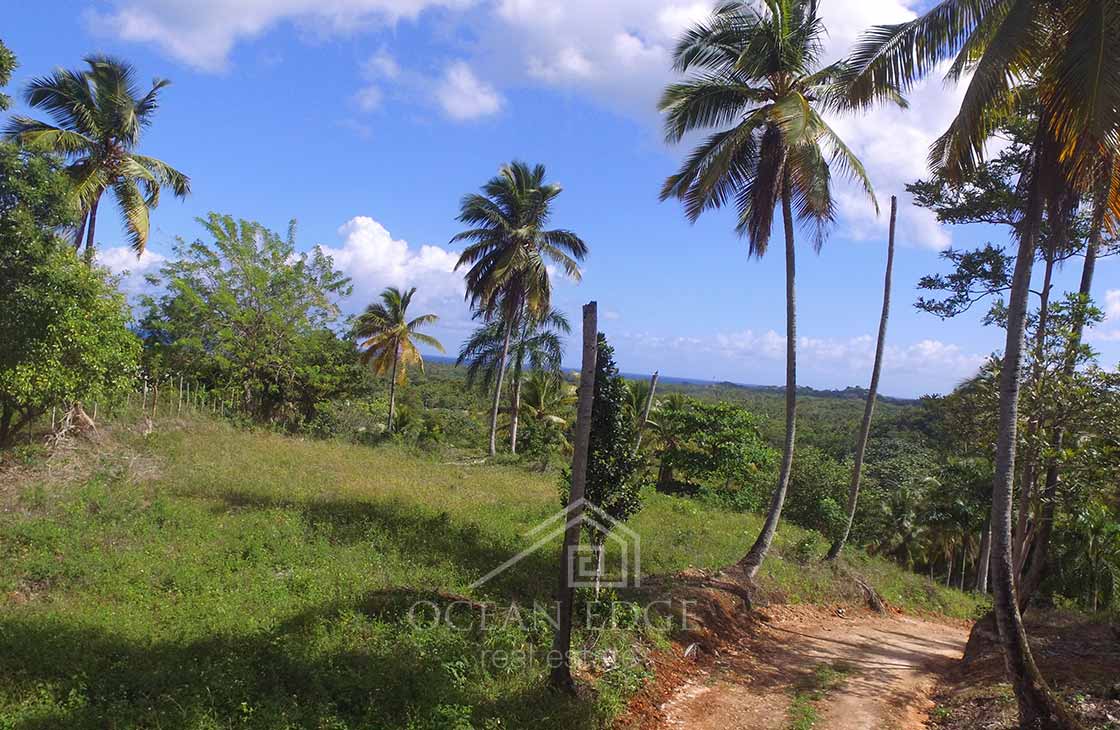 unique ocean view lot near Coson bay las terrenas ocean edge real estate (14)