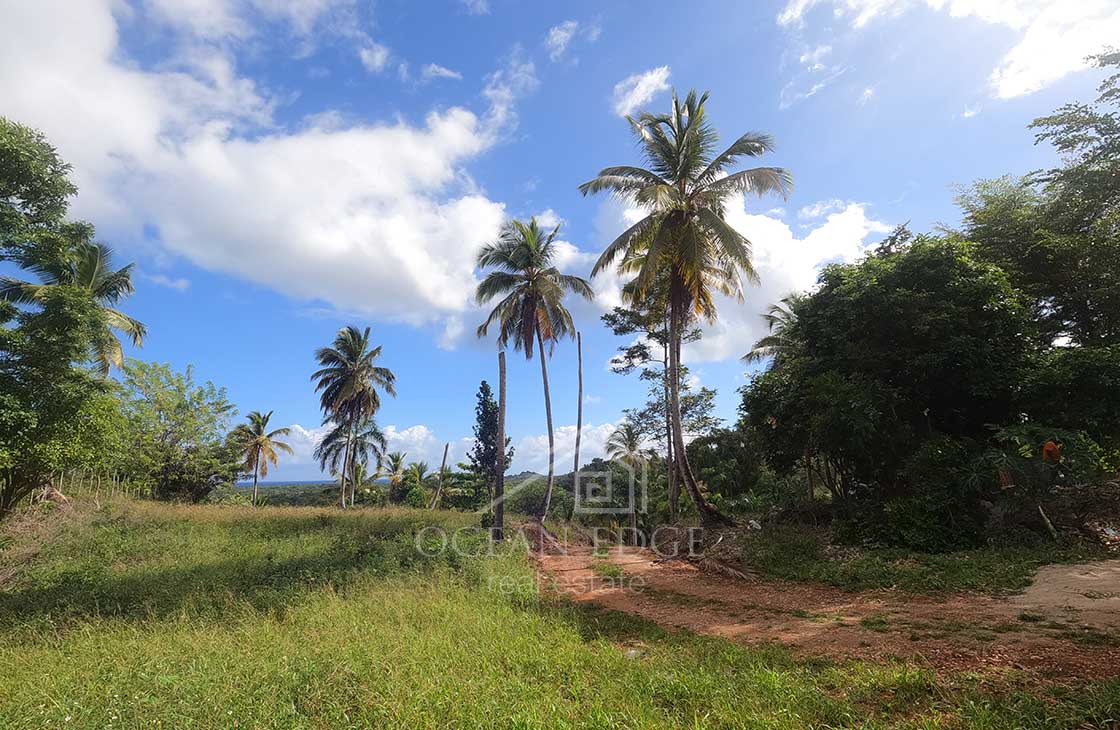 unique-ocean-view-lot-near-Coson-bay-las-terrenas-ocean-edge-real-estate