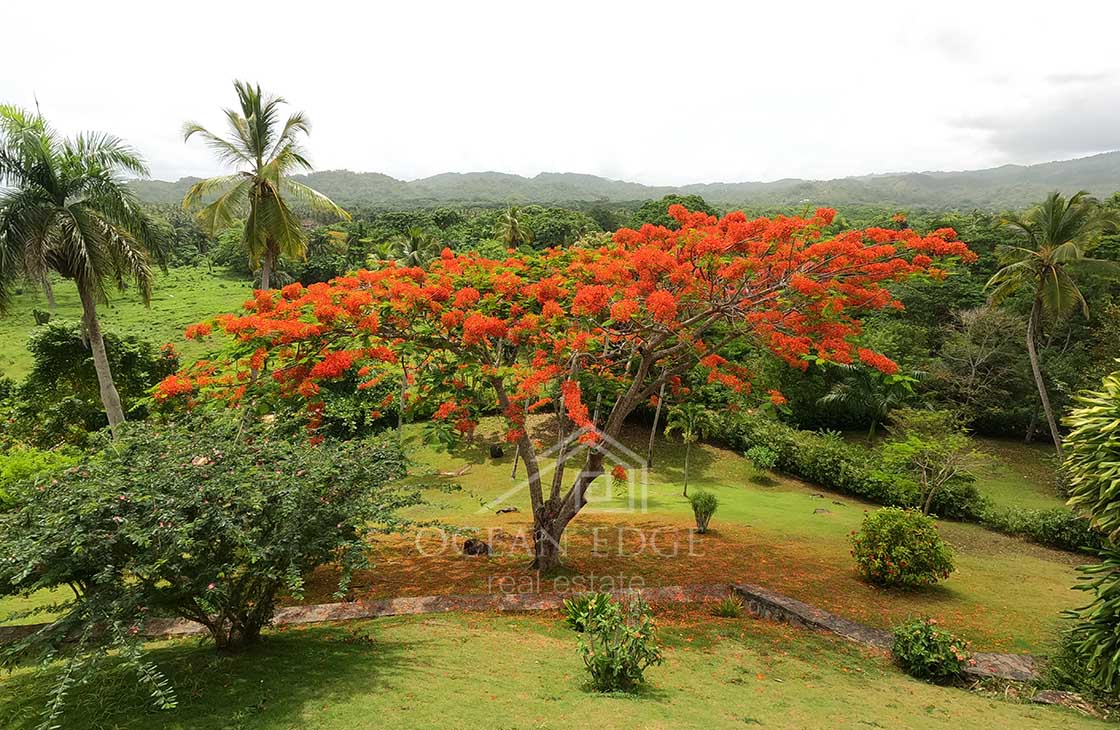 Spectacular-Mountain-View-House-in-Limon-las-terrenas-ocean-edge-real-estate