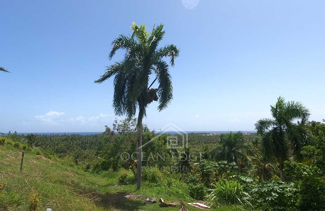 Mesmerizing-5-Bed-Ocean-View-Villa-with-Swimming-Pool-las-terrenas-ocean-edge-real-estate