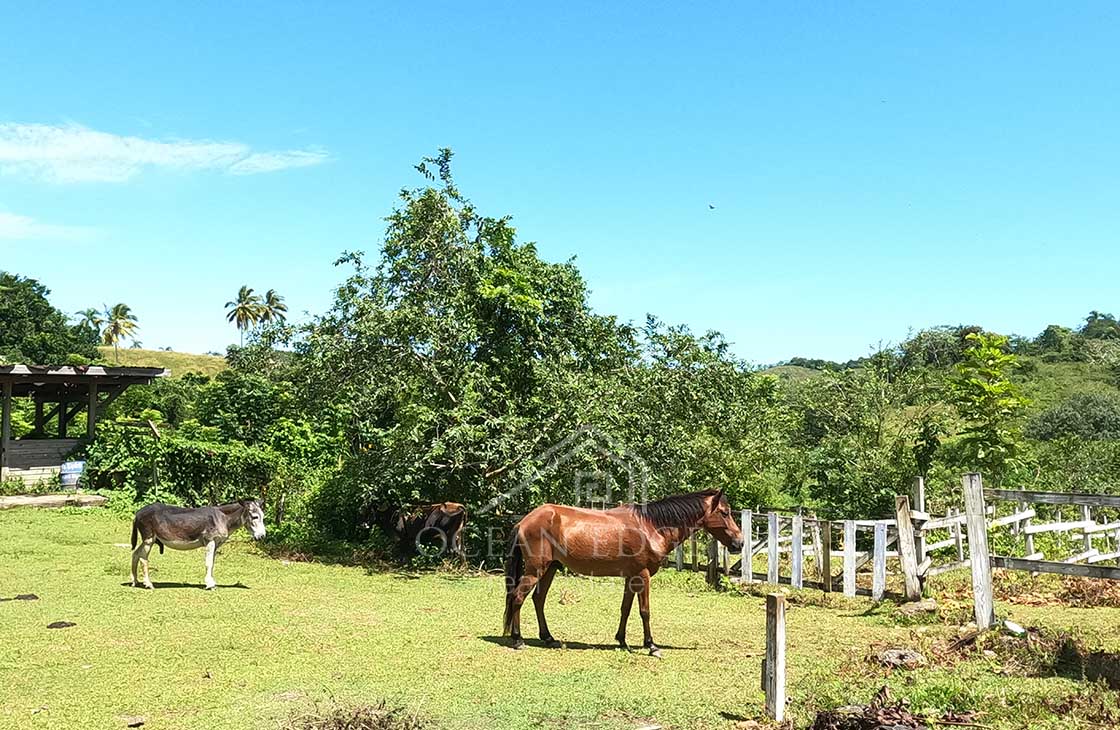 Unique-Ranch-with-Land-for-sale-near-Las-Terrenas-Ocean-edge-real-estate