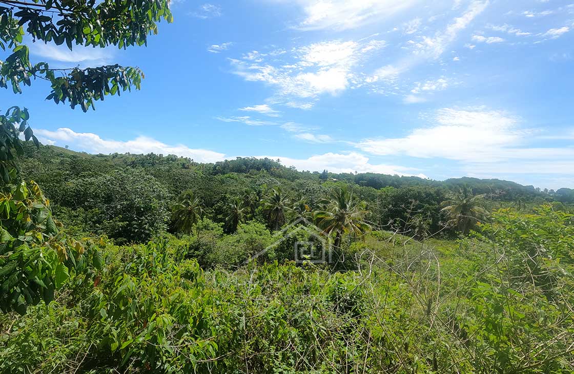 Unique-Ranch-with-Land-for-sale-near-Las-Terrenas-Ocean-edge-real-estate