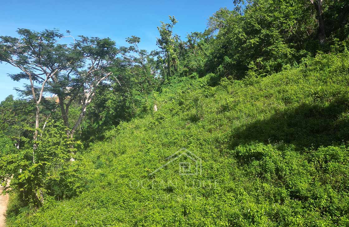 Building-lot-in-green-area-near-tourism-center-las-terrenas-ocean-edge-real-estate