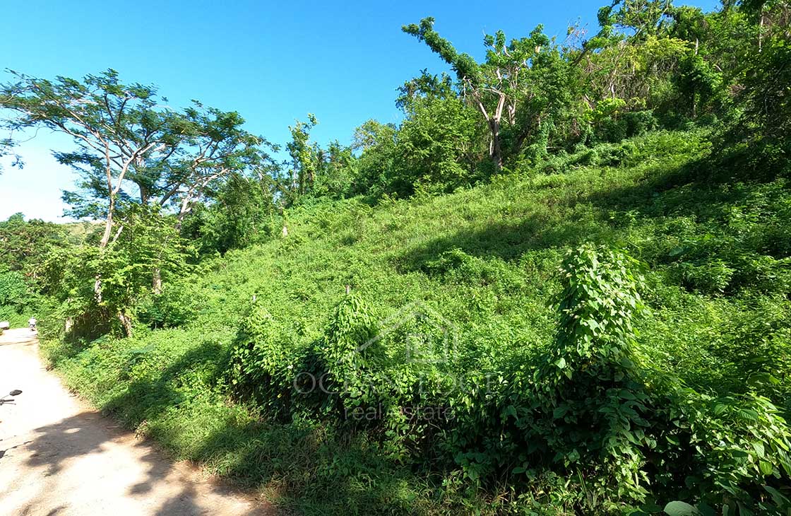 Building-lot-in-green-area-near-tourism-center-las-terrenas-ocean-edge-real-estate