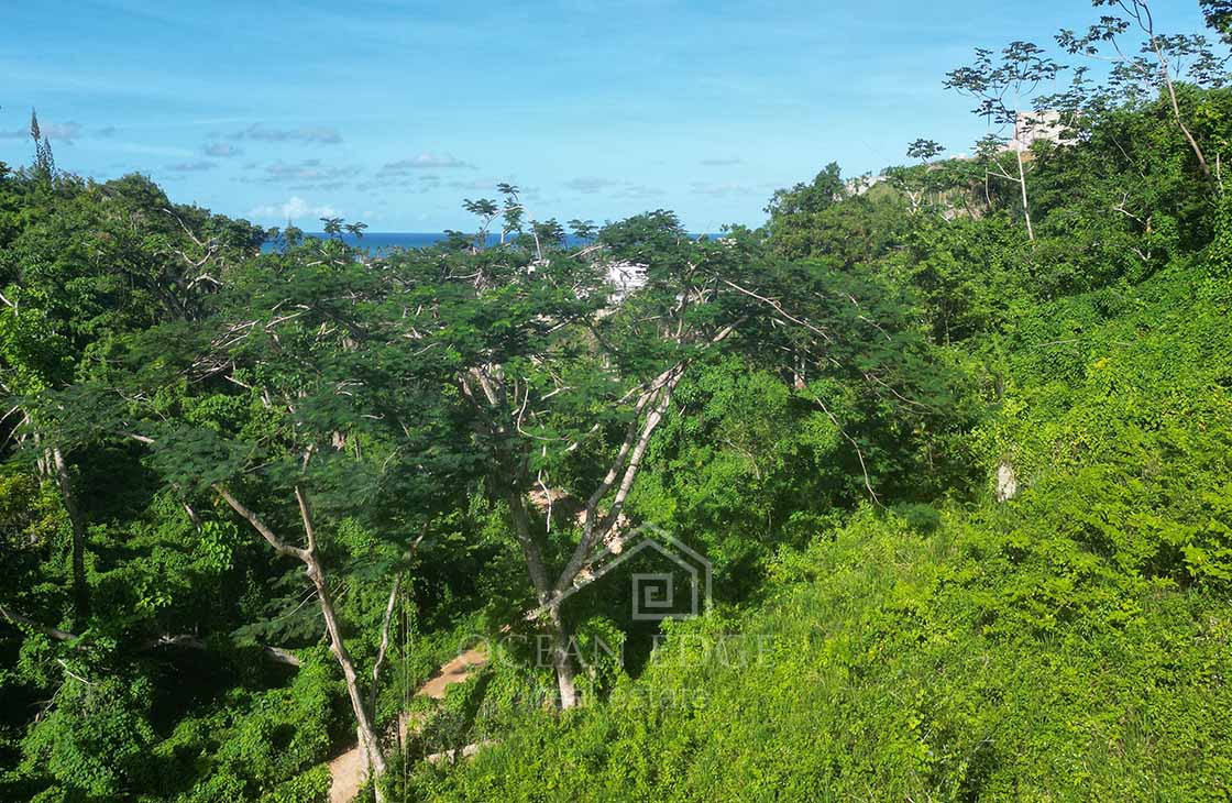 Building-lot-in-green-area-near-tourism-center-las-terrenas-ocean-edge-real-estate