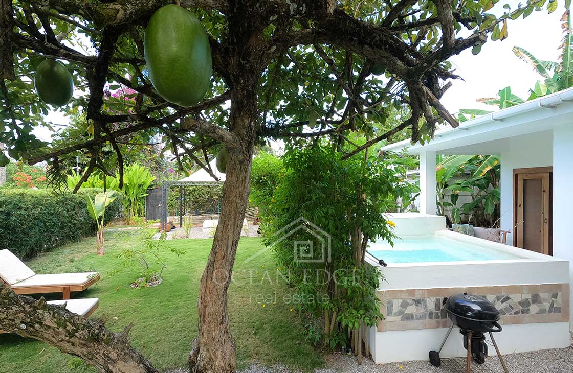 4 bungalows Airbnb Business for sale-las-terrenas-ocean-edge-real-etate