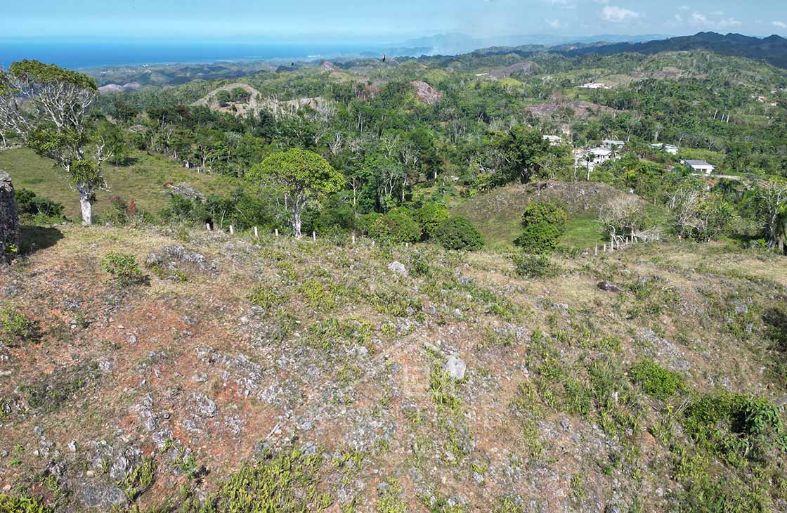 The-perfect-Ocean-View-land-for-tourism-development-las-terrenas-ocean-edge-real-estate