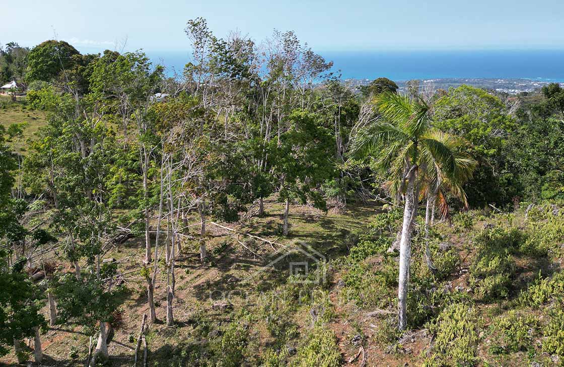 The-perfect-Ocean-View-land-for-tourism-development-las-terrenas-ocean-edge-real-estate