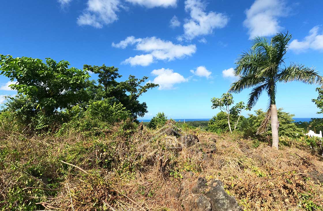 360°-view-lot-with-high-construction-density-las-terrenas-ocean-edge-real-estate-drone-plan