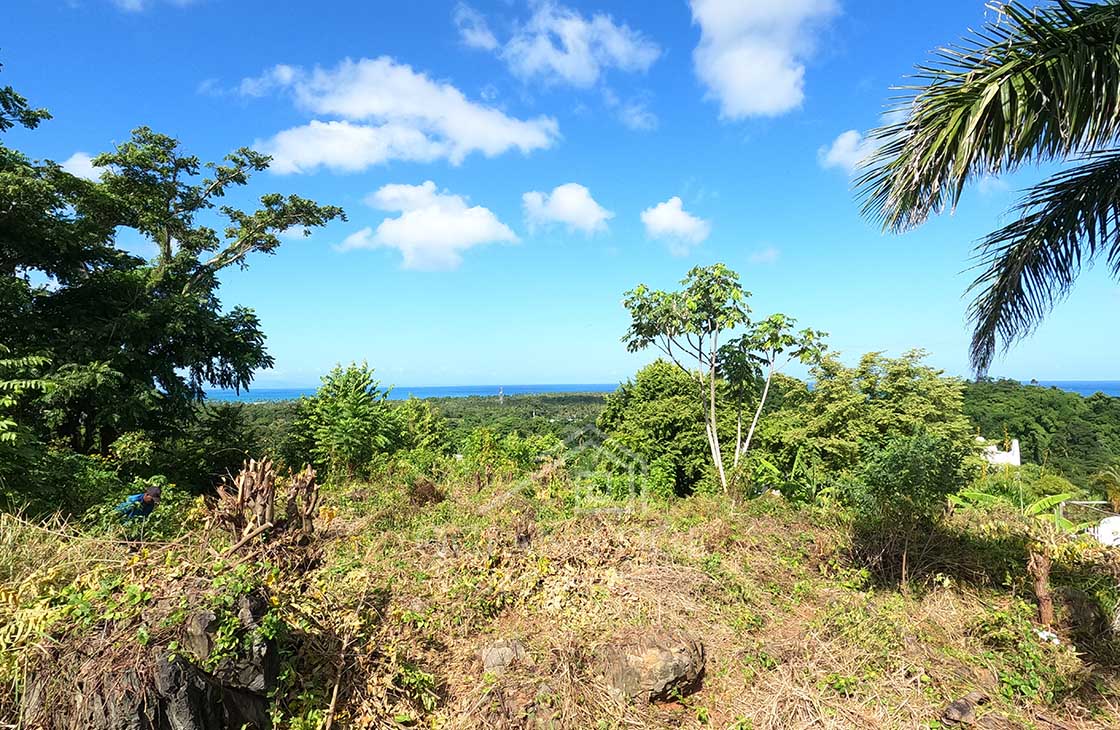 360°-view-lot-with-high-construction-density-las-terrenas-ocean-edge-real-estate-drone-plan