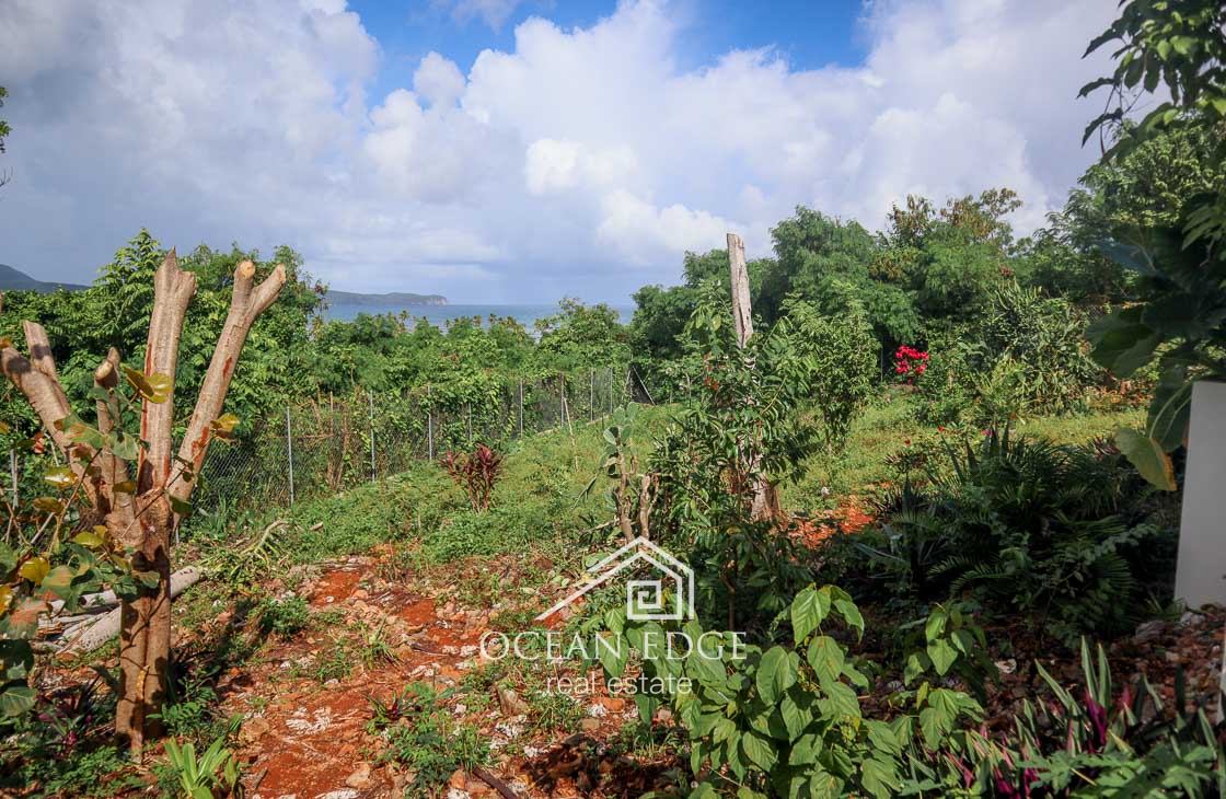Panoramic ocean view property on a hill in Las Galeras-ocean-edge-real-estate (27)