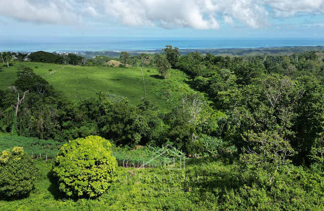 Splendid view and land overlooking Las Terrenas-ocean-edge-real-estate (8)