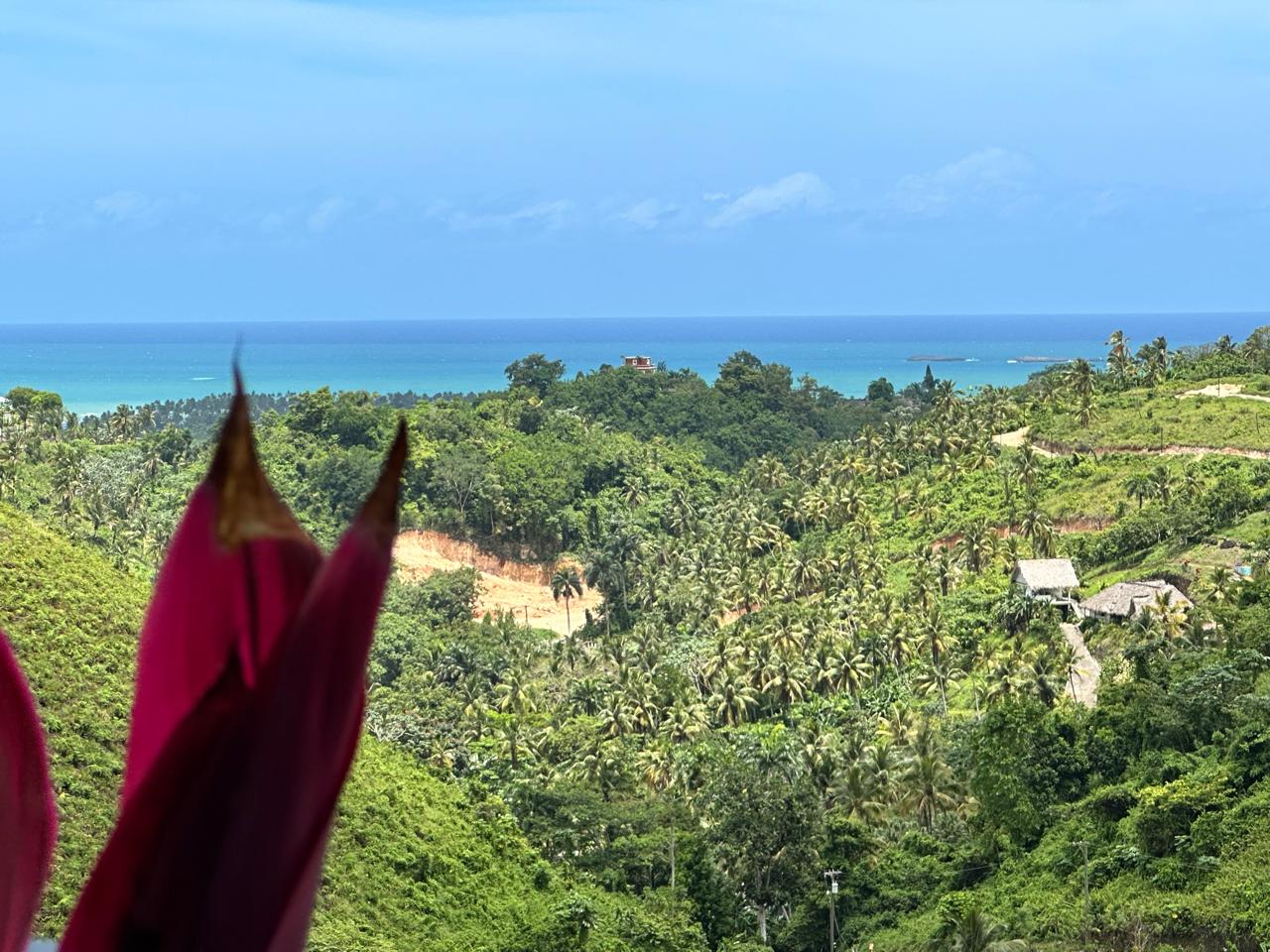 Splendid 4-bedroom villa with ocean vista - Las Terrenas Real Estate - Ocean Edge Dominican Republic (54)