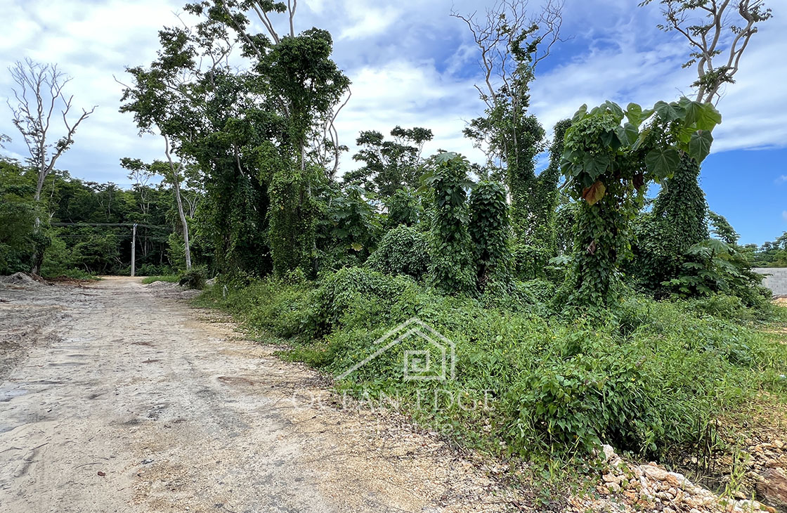 Lot for sale in new community 400 meters to Popi Beach-las-terrenas-ocean-edge-real-estate (13)