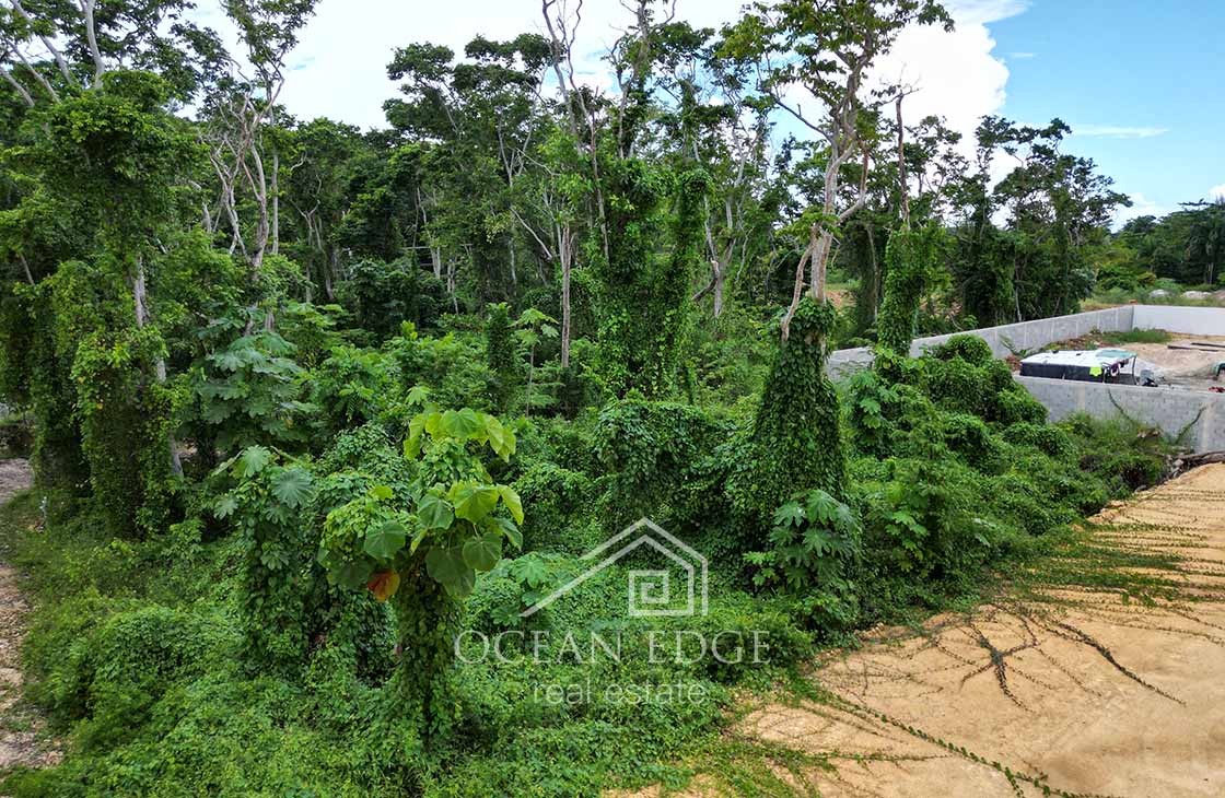 Lot for sale in new community 400 meters to Popi Beach-las-terrenas-ocean-edge-real-estate