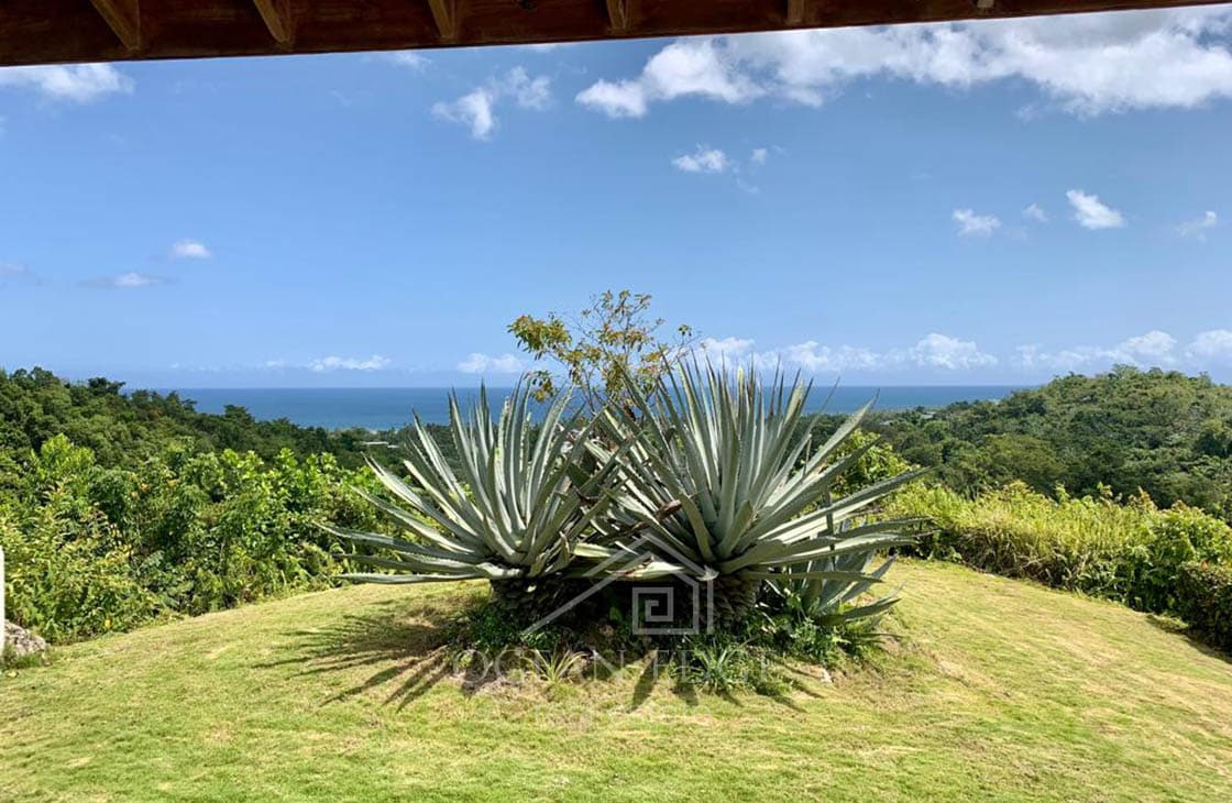 Spacious ocean view villa overlooking Playa Portillo-las-terrenas-ocean-edge-real-estate (13)