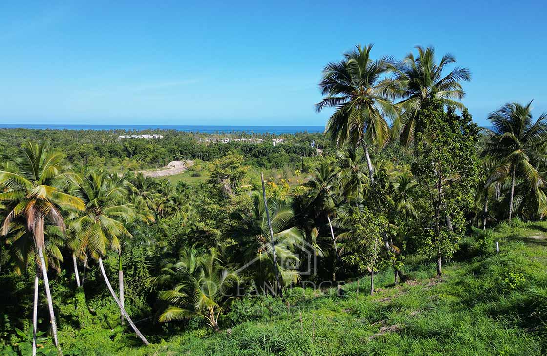 2 Ocean view lots for luxury villa near Playa Portillo