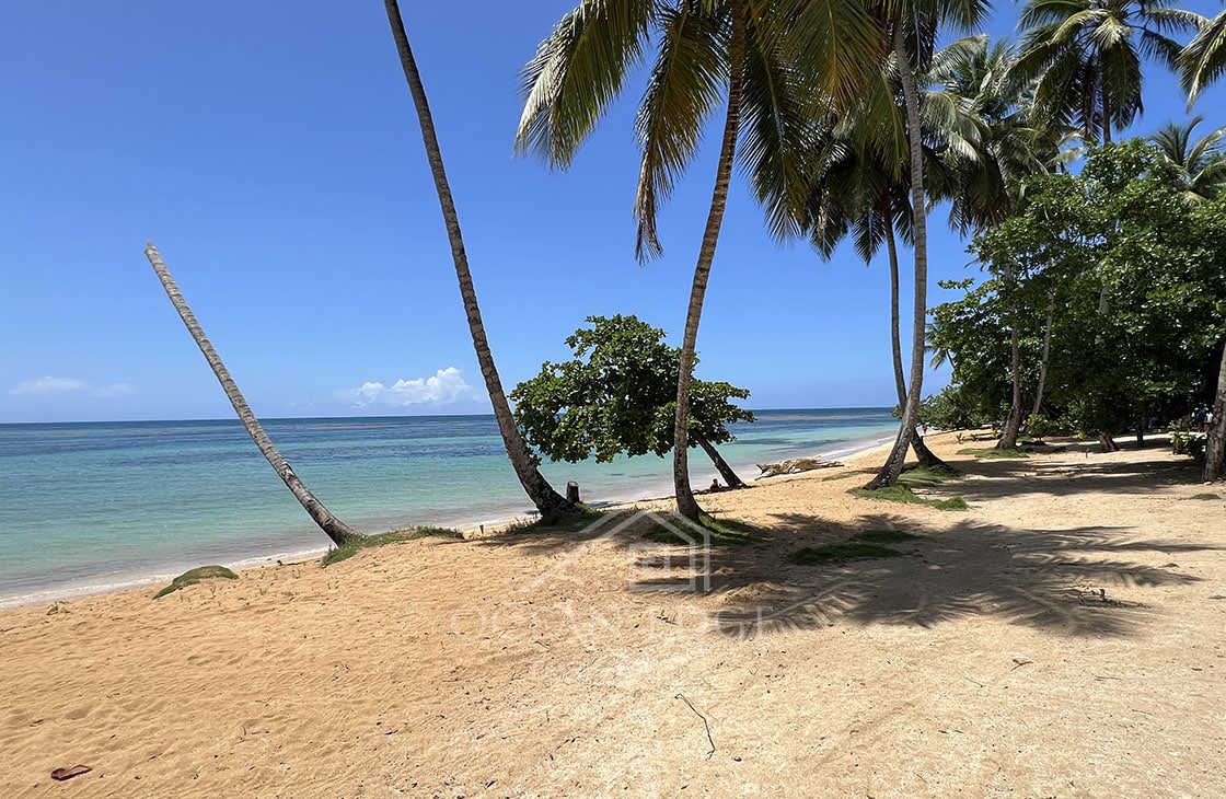 Upscale condos on Presale on El Portillo Beachfront-las-terrenas-ocean-edge-real-estate (5)