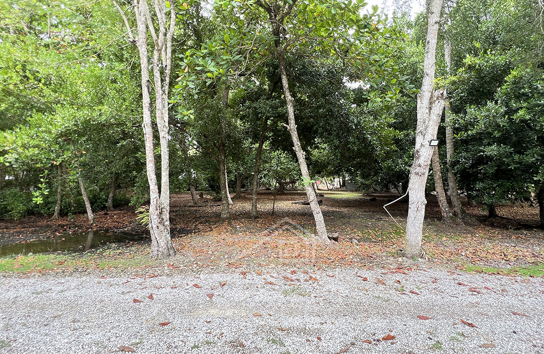 Last Buidling Lot available in exclusive Portillo Residence-las-terrenas-ocean-edge-real-estate (1)