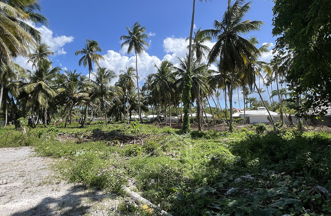 Last beachfront lot for tourism project on Popy beach-las-terrenas-ocean-edge-real-estate (31)